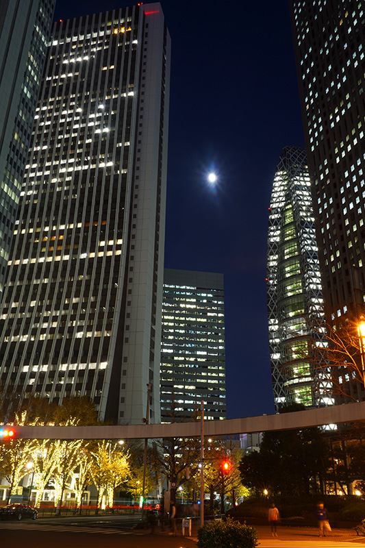 新宿西口 高層ビル街の夜景6